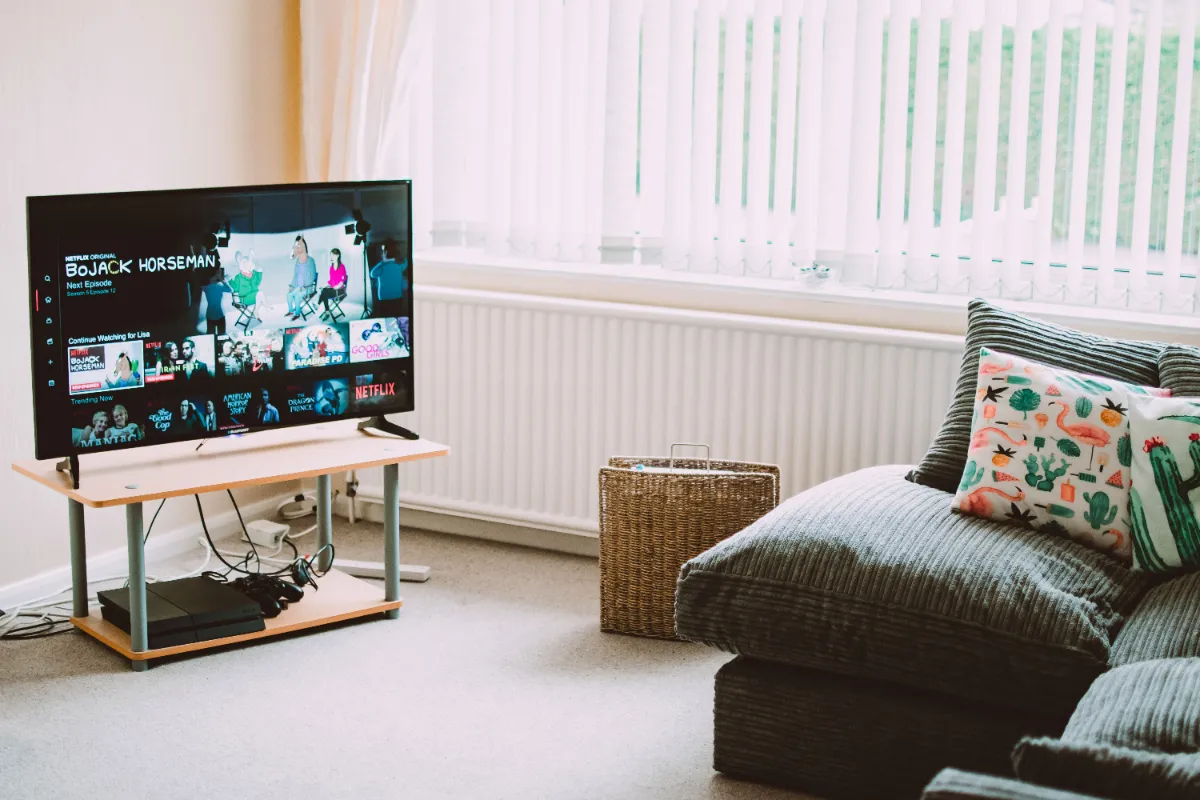A flat-screen television on a low wooden stand in a living room, showing a video streaming catalogue, with a grey corduroy sofa and patterned cushions beside a window with vertical blinds